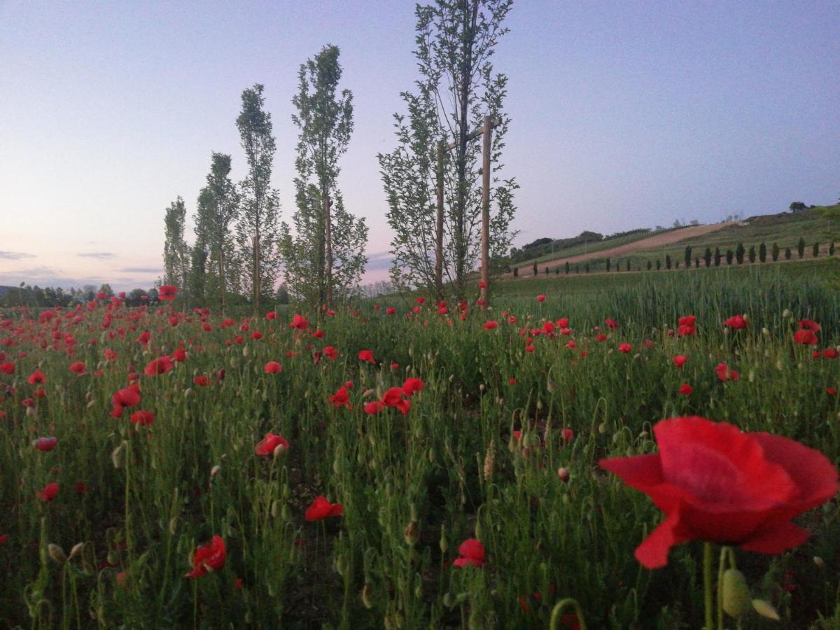 Corte Monticello Daire Barbarano Vicentino Dış mekan fotoğraf